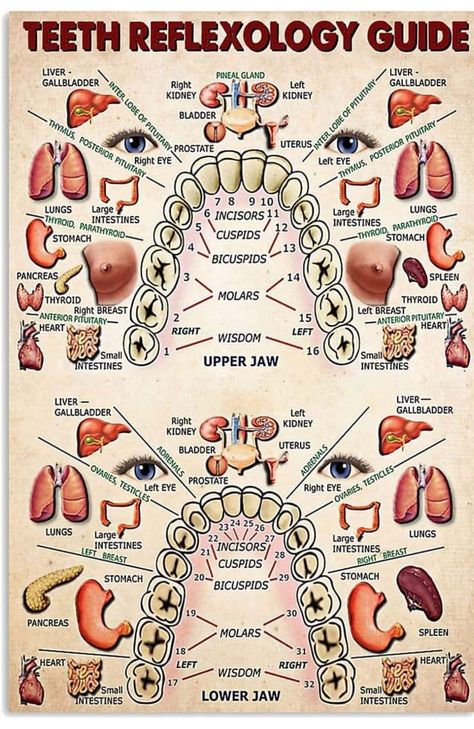 Chemistry Quotes, Anterior Pituitary, Reflexology Chart, Grease Stains, Baking Soda Shampoo, Herbs For Health, Organic Health, New Year Gift, Reflexology