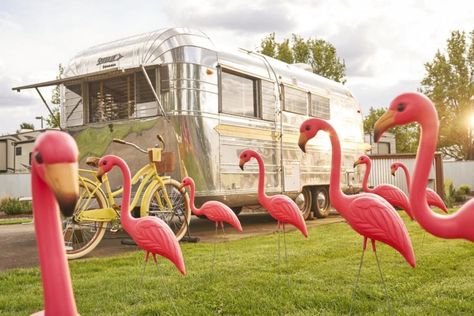 Trailer Park Decor, Trailer Park Pretty, New York Dog, Trailer Park Trash, Restaurants New York, Trailer Park Princess, Lawn Flamingos, Trash Magic, Retro Trailers