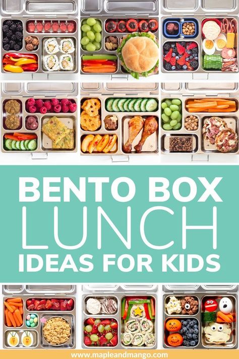 Easy and healthy bento box lunch ideas for kids to take to school. Includes recipes for fruits, vegetables, proteins, and snacks. #bentobox #lunchbox #kidslunch #healthylunch https://whispers-in-the-wind.com/12-back-to-school-easy-lunch-ideas-for-kids/?school-lunch-ideas-for-kids-that-they-will-love Food To Take To School Lunchbox Ideas, Bento Style Lunch Ideas, Creative Kids Lunches For School, First Day Lunch Ideas For Kids, Lunch Ideas Kids Summer, Kinder Lunch Box Ideas, Planetbox Rover Lunch Ideas Kids, Back To School Bento Box Ideas, Planet Box Lunches