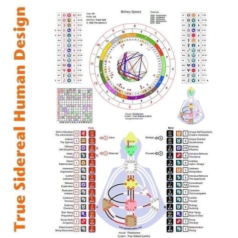 Family Relationship Chart, Learn Hebrew Alphabet, Mayan Astrology, Astrology Signs Dates, Sidereal Astrology, Earth School, Astrology Dates, Manifesting Generator, Human Design Chart