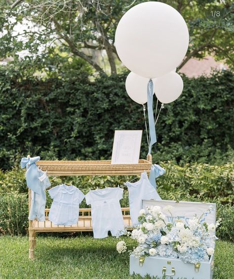 February Baby Showers, Backyard Baby Showers, Boy Baby Shower Decor, Country Baby Shower, Garden Baby Showers, White Baby Showers, Outdoor Baby Shower, Baby Shower Vintage, Baby In Bloom