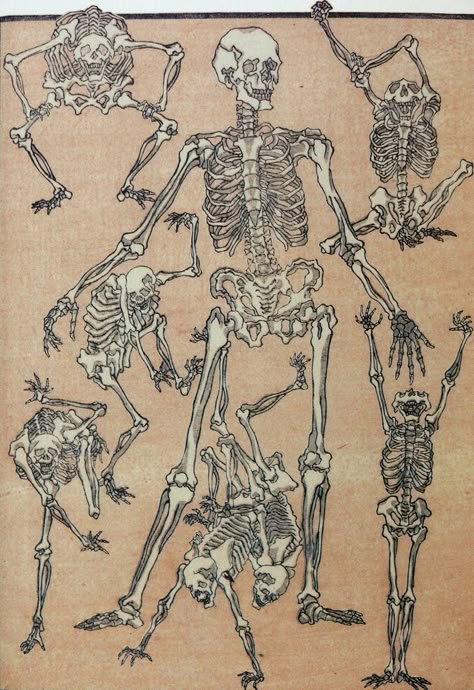 百鬼夜行: Kawanabe Kyōsai, Painter of Insanity Kawanabe Kyosai, Japanese Reference, Skeleton Anatomy, Skeleton Drawings, Japanese Drawings, Skulls And Bones, Japanese Folklore, Japanese Illustration, Skeleton Art