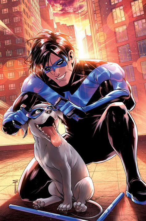 Nightwing Art, Nightwing And Starfire, When Your Best Friend, Mick Schumacher, Inspector Gadget, Univers Dc, Dc Comics Artwork, Batman Family, Variant Covers