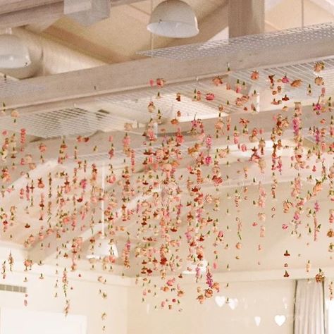 The Ganeys on Instagram: "The Valentine's wedding day of my dreams. 💕 I apologize in advance for posting this wedding every year on Valentine's day for the foreseeable future...! Can you spot those hanging acrylic hearts? As seen on @martha_weddings. Planning & Design: @callistaandco, floral design: @gatherdesigncomapny, venue: @solageresort, h&mu: @blushbeautystyling, dress: @watters, calligraphy: @libbytipton, paper goods: @papelnco, cake: @flourandbloomcakes, linen: @latavolalinen, rentals: @theonirentals #solagewedding #solageresortwedding #valentinewedding #winterwedding #theoni #latavola #ghostchairs #marthastewartweddings #alwaysfollowlove #iammagrougefabulous #portra400 #richardphotolab #floralinstall #budvases #flashesofdelight #weddingreception #weddinggoals #willyoubemyvalentin Valentines Day Wedding Ideas Receptions, Valentine’s Day Theme Wedding, Valentines Day Wedding Ideas, Valentines Day Celebration, Martha Weddings, Hanging Acrylic, Ghost Chairs, Valentines Day Wedding, Valentines Wedding