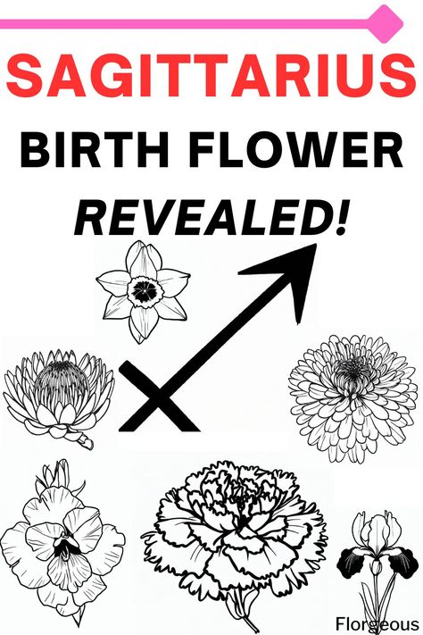 sagittarius birth flower Saggitarius Flowers, Sagittarius Birth Flower Tattoo, Sagittarius Flower Tattoo Birth Month, Sagittarius Flower Tattoo, Sagittarius Birth Flower, Sagittarius Flower, Sagittarius Tattoos, January Flower, Sagittarius Symbol