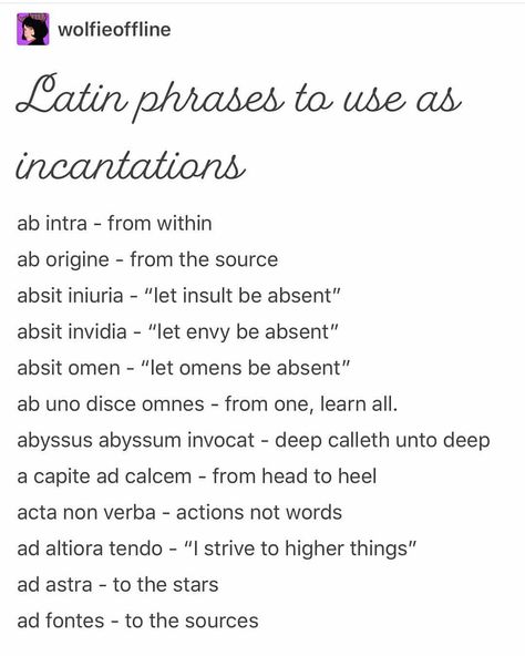 Some Latin to make your life more interesting 😉  This lovely post was made by @wolfieoffline , give them a follow to see more posts like… Witches Crystals, Quotes About Dads, Quotes For Instagram Bio, Latin Quotes, Latin Language, Latin Phrases, Quotes For Instagram, Unusual Words, Latin Words