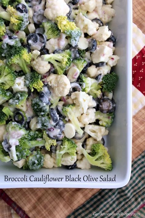 Broccoli Cauliflower Black Olive Salad - Garden Seeds and Honey Bees Black Olive Salad, Salad With Black Olives, Broccoli Grape Salad, Raw Broccoli Salad, Chicken Mushroom Casserole, Chili Salad, Broccoli Salad With Cranberries, Best Broccoli Salad Recipe, Grilled Broccoli