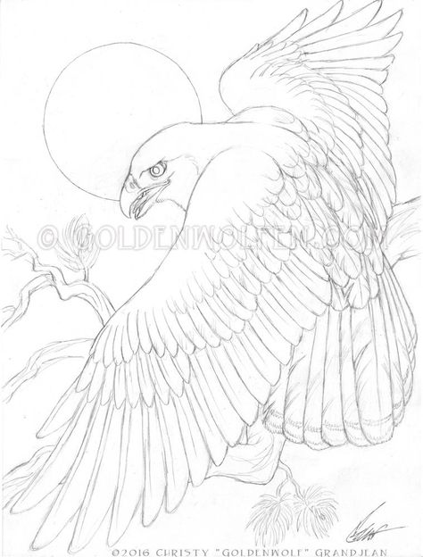 Crow Images, Hawk Tattoo, Hawk Bird, Eagle Art, Red Tailed Hawk, Black And White Sketches, Digital Art Beginner, Spirit Animals, Black Art Painting