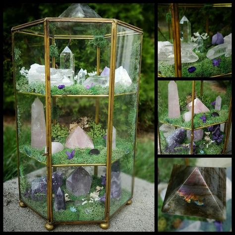 Crystal Room Aesthetic, Crystals Terrarium, Crystal Display Ideas, Crystal Terrarium, Terrarium Kit, Crystal Room, Crystal Garden, Crystal Aesthetic, Crystal Display