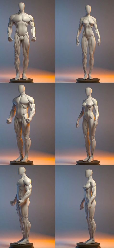 Human Body Drawing, Man Anatomy, Anatomy Sculpture, Anatomy Tutorial, Sketch Poses, Human Anatomy Drawing, Human Anatomy Art, Anatomy Sketches, Anatomy Poses