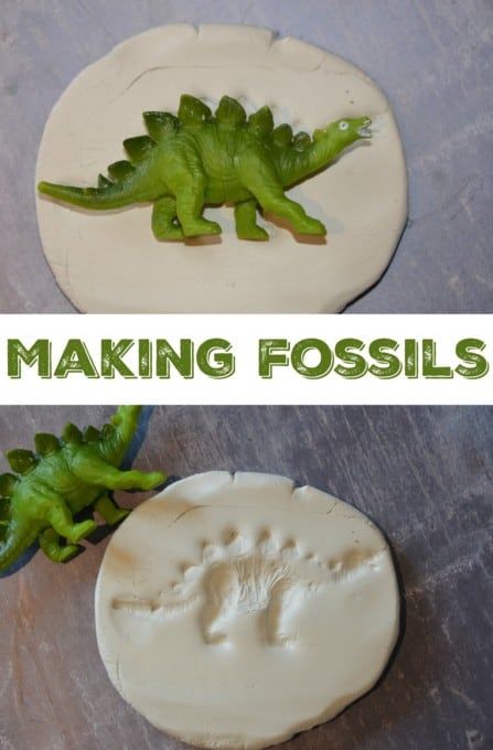 Pre K Dino Activities, Ks1 Dinosaur Topic, Sensory Activities Ks1, Cloverbuds 4-h Activities, Making Fossils, Science Experiments Kids Preschool, Thema Dino, Dinosaur Activities Preschool, Dinosaurs Preschool