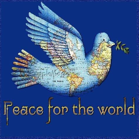 Peace For The World, Shabbat Shalom Images, Give Peace A Chance, Pray For Peace, World Vision, Shabbat Shalom, Peace Dove, We Are The World, Peace On Earth