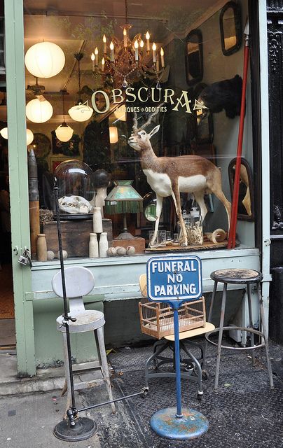 Obscura---One of my favorites in NYC  xo--FleaingFrance Oddities Shop, Voyage New York, Shop Fronts, Store Window, I Love Ny, White Swan, Shop Front, Find Objects, Food Yummy