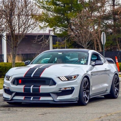 Ford Mustang Eleanor, Shelby Mustang Gt500, Gt 350, Shelby Gt350r, Modern Muscle Cars, Shelby Gt350, Mustang Gt500, Shelby Mustang, Ford Mustang Boss