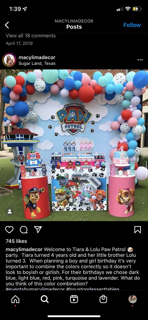 4th Birthday Paw Patrol, Girl Paw Patrol Party, 3rd Birthday Party For Girls, Twins 3rd Birthday, V Birthday, Party Rentals Business, Paw Patrol Party Decorations, Paw Patrol Party Ideas, Birthday Paw Patrol