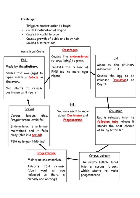 IGCSE Biology Revision Notes 2 Igcse Ict Notes, 12th Biology Notes, Reproduction Notes, Biology Revision Notes, Cell Biology Notes, Igcse Biology, Gcse Biology, Biology Diagrams, Biology Revision