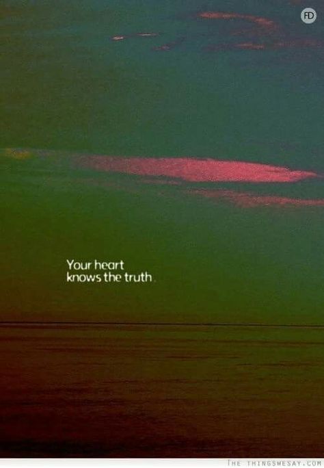 Your heart knows the truth... Know The Truth, You Funny, Love Words, True Quotes, The Truth, That Way, Words Quotes, Favorite Quotes, Wise Words