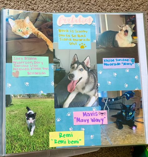 Scrapbook Ideas Pets, Animal Scrapbook Ideas, Scrapbooking Dogs Ideas, Scrapbook Dog Ideas, Dog Journal Page, Dog Photo Album Ideas, Pet Journal Ideas, Pet Scrapbook Ideas, Dog Scrapbook Layouts Ideas