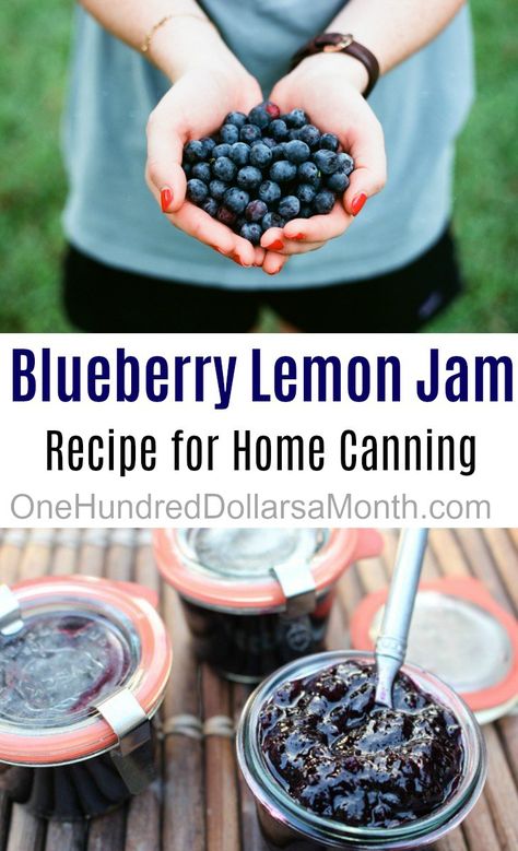 Blueberry Lemon Jam Recipe, Lemon Jam Recipe, Blueberry Lemon Jam, Lemon Jam, Canning Jam Recipes, Blueberry Jam Recipe, Blueberry Season, Jam Recipes Homemade, Canning Jam