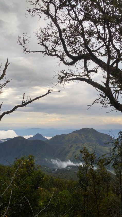 di track menuju lawu via cemoro kandang Lawu Mountain, Track, Natural Landmarks, Quick Saves, Nature