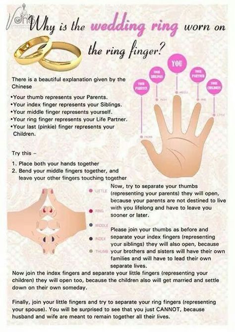 Ring Theory, Rings Meaning, Wedding Meaning, Dream Wedding Ring, Get Engaged, Chinese People, Weddings By Color, Wedding Words, Cute Wedding Ideas