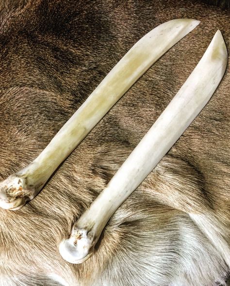 Elk leg bone knives. Deer Bone Crafts, Bone Staff, Bone Tools, Bone Knife, Bone Arrow, Bone Knife Fantasy, Elk Jaw Bone Art, Bone Knife Handle Diy, Deer Horn Knives