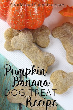 Pumpkin Banana Dog Treats, Banana Dog Treat Recipe, Pumpkin And Peanut Butter, Banana Dog Treats, Dog Treats Recipe, Homemade Dog Cookies, Dog Treats Recipes, Easy Dog Treat Recipes, Dog Treat Recipe