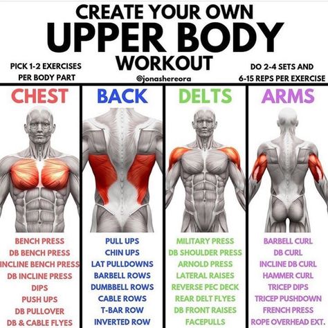 Gym,Fitness And Motivation on Instagram: “Upper body 🏋️‍♀️ Tag a friend @ 👇🏻 Dm for photo creds 📸 — Follow @ripped.hub 🤩 And my second account @gains.feed & @muscle.feed 🥵 —…” Muscle Groups To Workout, Full Upper Body Workout, Group Workout, Workout Splits, Muscle Anatomy, Gym Tips, Cardio Routine, Gym Routine, Workout Chart