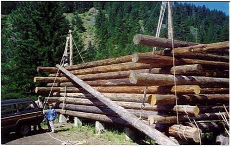 Diy Cabins, Cabin Construction, Diy Log Cabin, Redmond Washington, Log Cabin Plans, How To Build A Log Cabin, Timber Logs, Treehouse Cabins, Diy Cabin