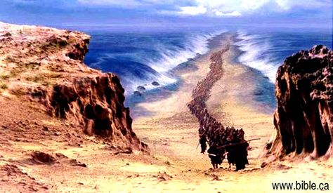 Where did Moses & the Israelites cross the Red Sea? Crossing The Red Sea, Egyptian Army, Parting The Red Sea, Bible History, Shabbat Shalom, Discovery Channel, Modern City, Holy Land, Red Sea