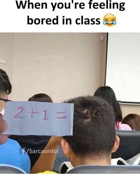 School Memes Funny Student, School Memes Funny, Classroom Jokes, Classroom Memes, Quotes Crush, Funny Puns Jokes, Student Humor, School Jokes, Funny School