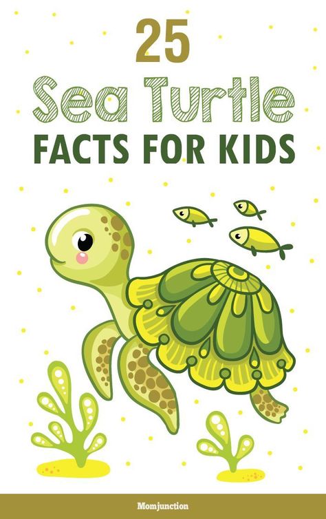 Want to teach your kid about sea turtles? Here're 25 amazing Sea Turtle facts for Kids. Read on the information and help your child to know more about this creature. Fun Facts About Sea Animals, Turtles And Tortoises, Sea Turtle Poster Project, Turtle Facts For Kids, Cute Cartoon Turtle, Pollution Poster, Sea Turtle Facts, Turtle Activities, Turtle Facts