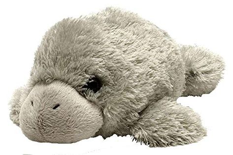 Stuffed Animal Displays, Shark Stuffed Animal, Kids Hugging, Sea Cow, Teddy Bear Toys, Soft Teddy Bear, Incredible Creatures, Educational Toys For Kids, Birthday Gifts For Kids