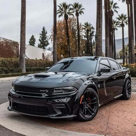 Black Hellcat Charger, Hellcat Charger Aesthetic, Black Dodge Charger, Tesla Car Models, Dodge Charger Models, Hell Cat, Aesthetic Sports, Dodge Charger Hellcat, Race Car Driving