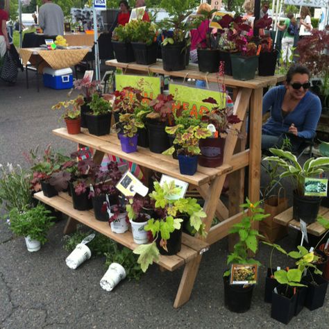 Plant fixture at Hillsdale farmers market. Farmers Market Plant Stand, Plant Stall Ideas, Plant Market Stall, Flower Shop Display, Farmers Market Stand, Farmers Market Booth, Farmers Market Display, Garden Rock Border, Market Stands