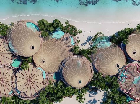 https://www.instagram.com/p/CLikHMnheIc/?igshid=gdtca8yf9wdu Tourism Development, Sea Resort, Hotel Plan, Foster Partners, Norman Foster, Green Travel, Outline Designs, Island Resort, Red Sea