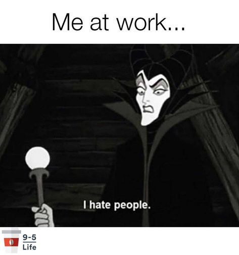 I hate people. People Humor, I Hate People, Hate People, Morning Humor, Work Memes, Disney Memes, Evil Queen, Nurse Humor, Work Humor