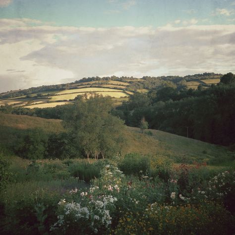 Dan Pearson, Garden Designer, Iphone 5c, Nature Aesthetic, Lake District, Pretty Places, Green Aesthetic, Beautiful World, Happy Places