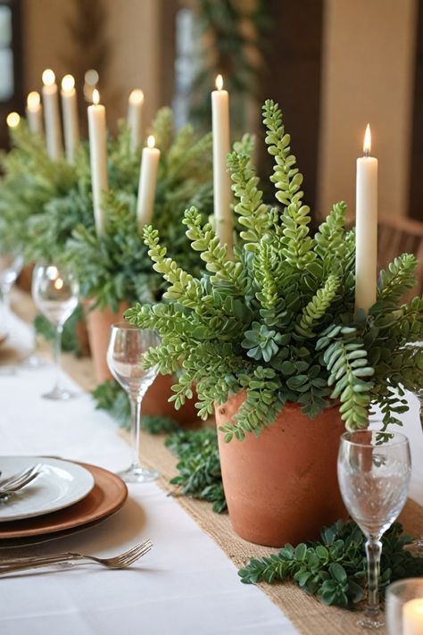 Looking to add a unique touch to your wedding decor? Consider using succulents for wedding centerpieces and decor. These versatile plants are perfect for creating stunning arrangements that will impress your guests. Whether you're planning a boho chic celebration or a minimalist affair, succulents can complement any theme beautifully. From elegant tablescapes to charming bouquets, incorporating succulents into your wedding decoration can add a touch of natural beauty and sophistication. Succulents For Weddings, Succulents Wedding Decor, Boho Chic Flower Arrangements, Live Plant Wedding Decor, Wedding Plant Centerpieces, Wedding Plants Centerpieces, Potted Plant Centerpieces Wedding, Fern Table Decor, Potted Plants Wedding Decor