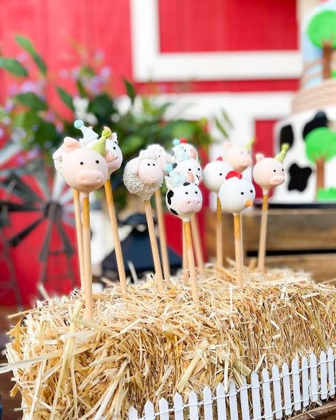 Farm 1st Birthday Party, Farm Animal Cake Pops, Petting Zoo Birthday Party, Farm 1st Birthday, Animal Cake Pops, Barnyard Birthday Party, Fairy Garden Birthday Party, Farm Theme Birthday, Farm Animal Party