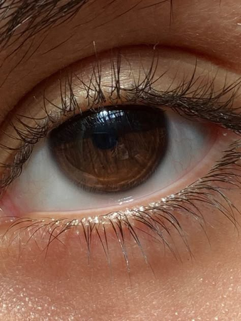 Brown Eyes In Sunlight, Giuliana Core, Lewin Light, Eyes In Sunlight, Chocolate Brown Eyes, Pretty Eyes Color, Different Eye Colors, Brown Eyes Aesthetic, Pretty Brown Eyes