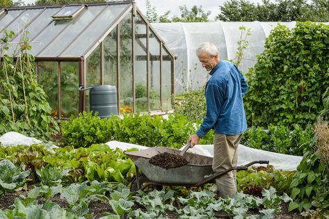 No-dig gardening guide Vegetable Garden Edging, No Dig Gardening, Charles Dowding, Food Forest Garden, Garden Edging Ideas, Gardening Guide, Veg Patch, Dig Gardens, Future Farms