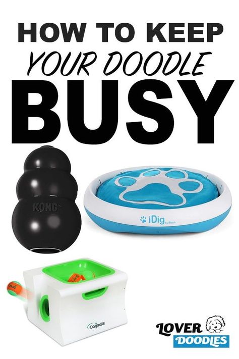 Dog Boredom Busters While At Work, Ideas To Keep Dogs Busy, Keep Puppy Busy While At Work, Best Dog Toys To Keep Them Busy, Activities For Puppies, Ways To Keep Your Dog Entertained, How To Keep Your Dog Entertained, Keeping Puppy Busy Ideas, Dog Busy Toys