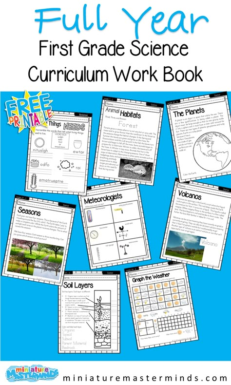 First Grade Science Full Year Curriculum – Miniature Masterminds 1st Grade Homeschool Science, First Grade Yearly Lesson Plans, First Grade Science Lessons Plans, 1st Grade Science Curriculum Homeschool, 1st Grade Science Curriculum, Homeschooling 1st Grade Curriculum, First Grade Health Lessons, Second Grade Science Curriculum, First Grade Curriculum Map