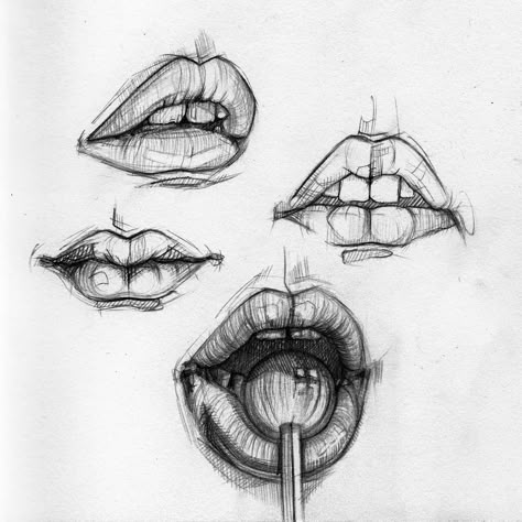 Ani Cinski is a German pencil sketch artist, Illustrator and Graphic Designer. For More Details View Website #sketch #drawings #art #sketchart #pencilsketches Lips Sketch, Some Drawings, Lip Drawing, Mouth Drawing, Draw Ideas, Anatomy Sketches, Art Sketches Pencil, Sketch Artist, Art Drawings Sketches Pencil