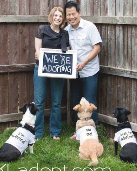 Adopting Announcement, Dog Announcement, Foster Care Announcement, Engagement Announcement Ideas, Adoption Announcement, Foster Care Adoption, Announcement Ideas, New Parent Advice, Dad Baby