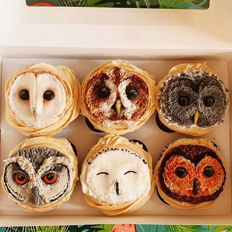 Owl Food, Owl Cakes, Owl Cupcakes, Owl Birthday Parties, Kitty Girl, Owl Birthday, Amazing Cakes, Food Art, Owls