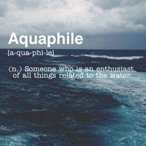 Aquaphile Someone who is an enthusiast of all things related to the water. Aquaphile Quotes, Water Related Words, Words To Describe The Ocean, Beautiful Words To Describe A Person, Words Related To Art, Ocean Meaning, Phobia Words, Ocean Words, Beautiful Words In English