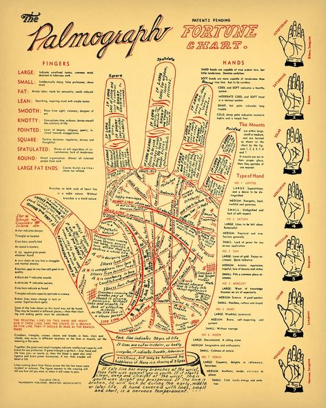 Palm Reading Charts, Hand Reading, Palmistry Reading, Palmistry Hand, Reading Charts, Magia Das Ervas, Grimoire Book, Wiccan Spell Book, Witchcraft Spell Books