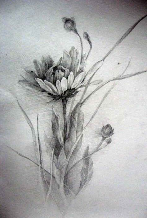 Natural Form Drawing, Realistic Plant Drawing, Charcoal Flowers, Flower Sketch Pencil, Realistic Flower Drawing, Modern Watercolor Art, Pencil Drawings Of Flowers, Flower Sketch, Flower Drawing Tutorials